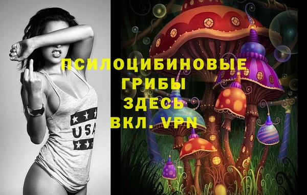 гашик Елабуга