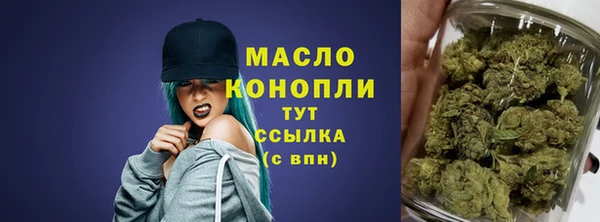 spice Дмитриев