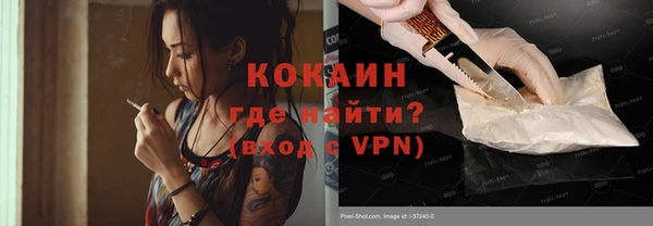 spice Дмитриев