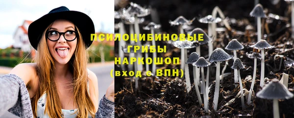гидропоника Дмитровск