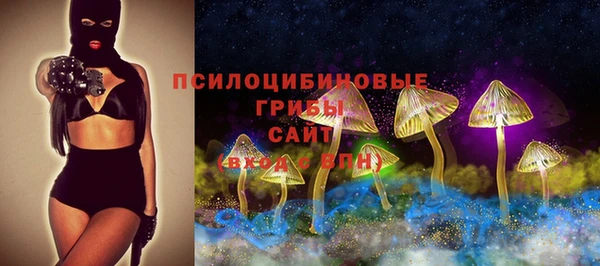 стафф Щучье