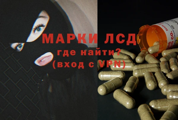 мяу мяу кристалл Дмитров