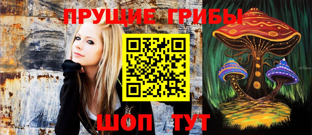 Галлюциногенные грибы мицелий  Вход с VPN  Сланцы 