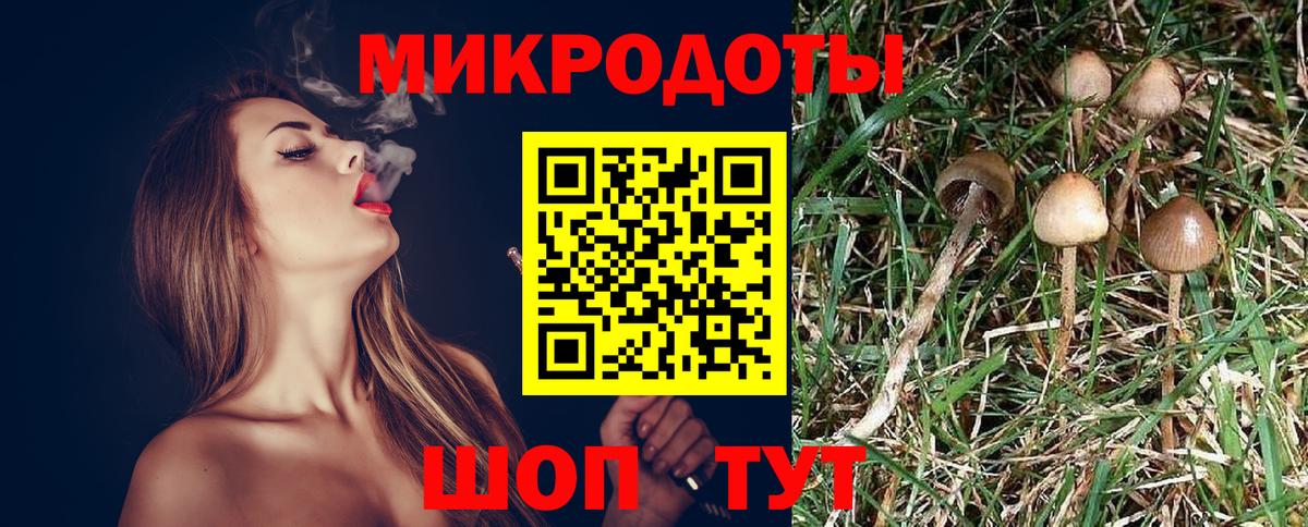 Галлюциногенные грибы мухоморы Сланцы